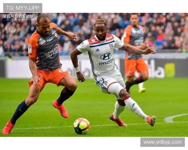 布雷斯特赛季表现分析，球队进步显著值得关注