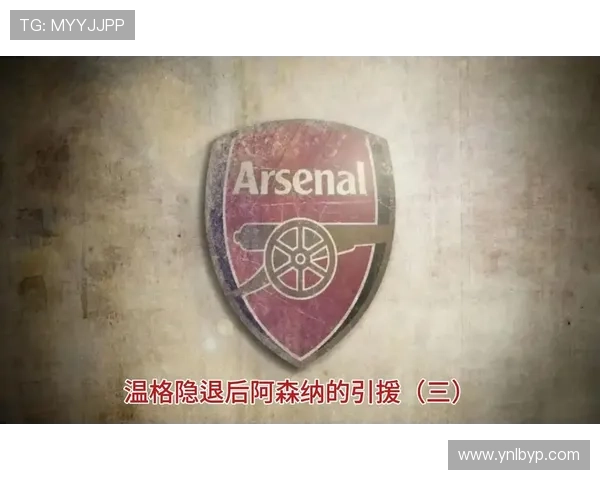 阿森纳转会策略解析：引援聚焦年轻潜力，建队思路清晰